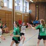 2017_02_19 Landesliga Frauen und Jugend 19